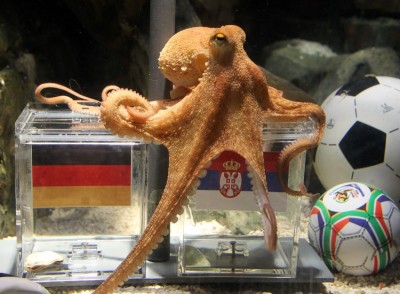 world-soccer2010_15.jpg