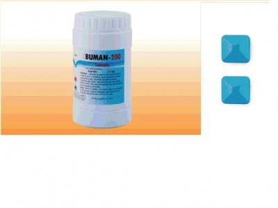 Ibuman200J.JPG