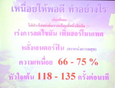 ประชุมวิชาการเภสัชจุฬา 51.JPG