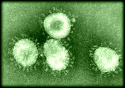 coronavirus.jpg (38.78 KiB) เปิดดู 16097 ครั้ง coronavirus.jpg