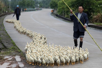 11.jpg (80.71 KiB) เปิดดู 16080 ครั้ง 11.jpg