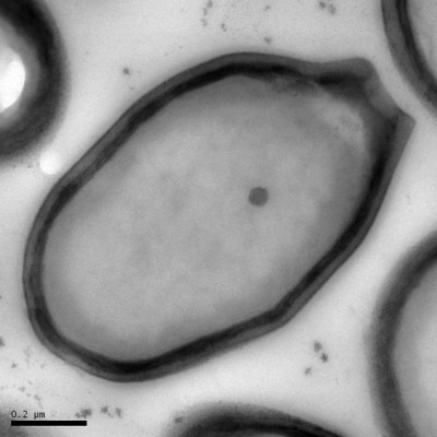556000009403501.jpg (105.29 KiB) เปิดดู 15409 ครั้ง 556000009403501.jpg