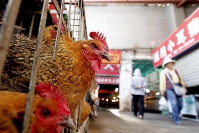 556000010253201.jpg (64.84 KiB) เปิดดู 14947 ครั้ง 556000010253201.jpg