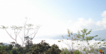 EeCAeON2006_561.jpg