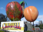 Resize_of_nz_380.JPG
