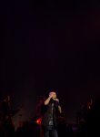 anuphuDSC_3770.jpg