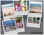 collage0001.jpg